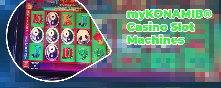 China shores slots
