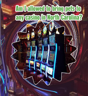Places to play slots near me